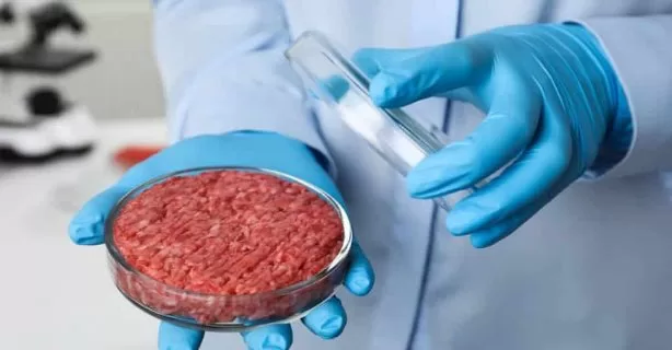 Carnea creată în laborator: știința transformării celulelor în fripturi și nuggets